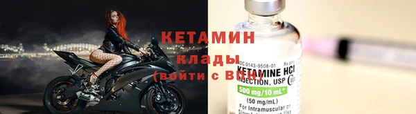 твердый Дубна