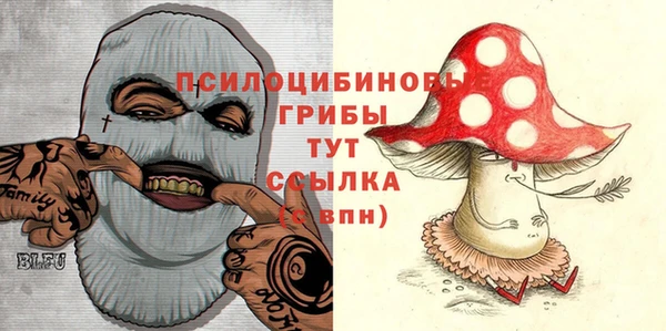 метадон Приозерск
