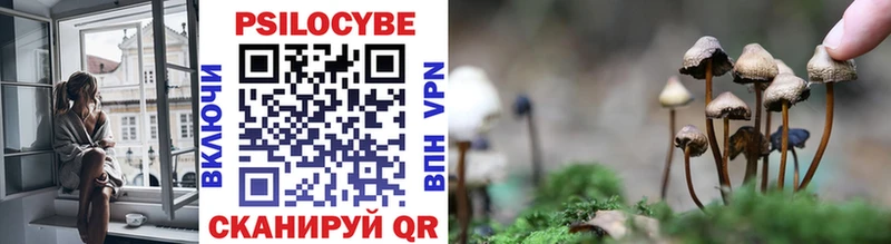 mega вход  Сарапул  Галлюциногенные грибы Cubensis 